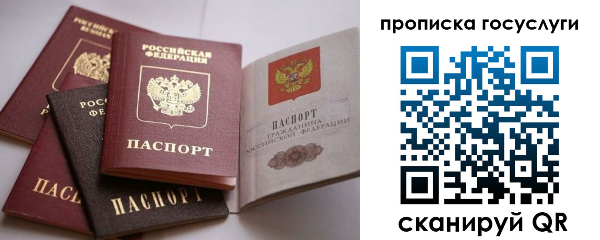 купить прописку в Талдоме